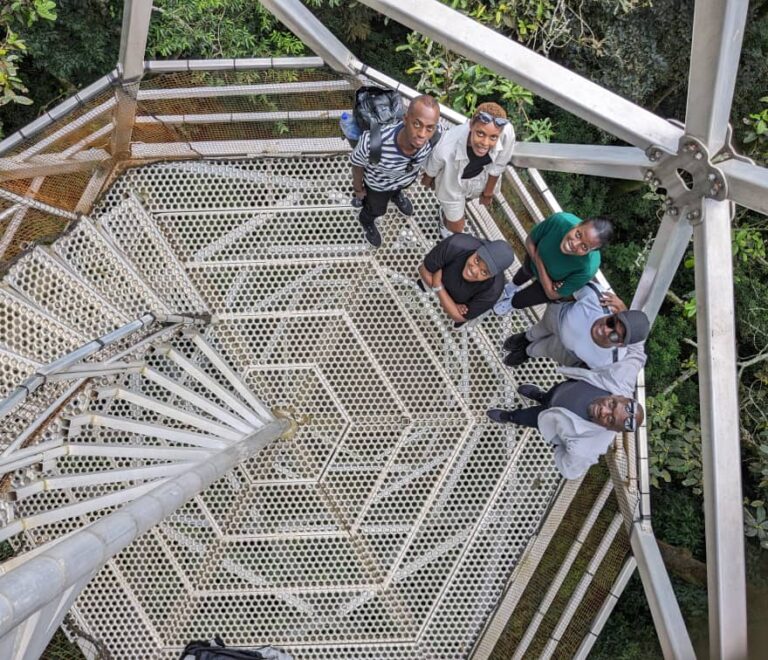  Nyungwe canopy walk 