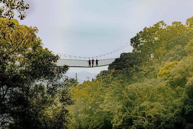 3-Day Christmas Rwanda Tour